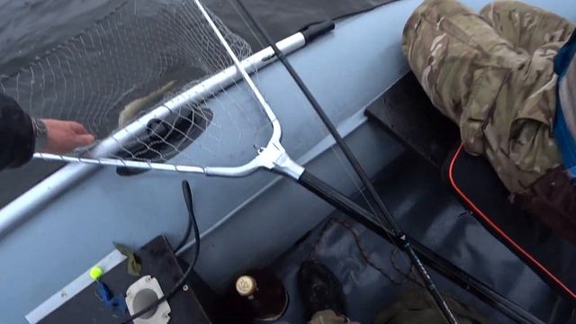 Ловля СОМА и СУДАКА на джиг Запорожская область смотреть онлайн