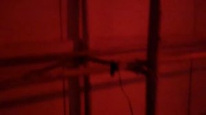 Омшаник зимовник для пчел