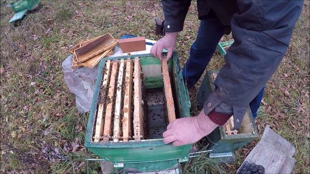 Объединение семей в ноябре. смотреть онлайн