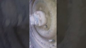 Гайковерт ЗУБР, классный для дома и дачи!