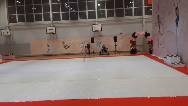Художественная гимнастика