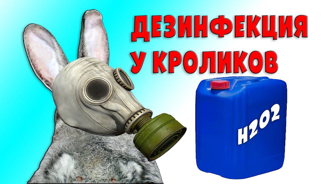 Дезинфекция перекисью водорода