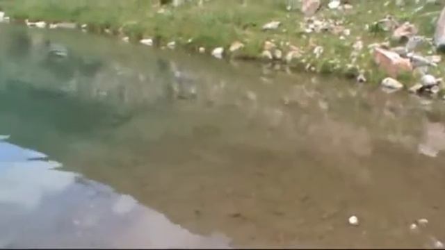 Путешествие в горы- Ак Суу Кыргызстан смотреть онлайн