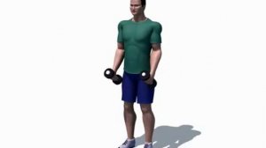 Молотковые сгибания рук с гантелями стоя