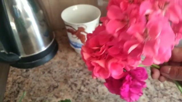 Поперлась до куми .Чого? Відпочиваю,бо дощ. смотреть онлайн