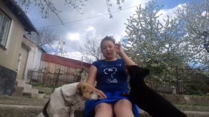 Как научить собаку команде служить