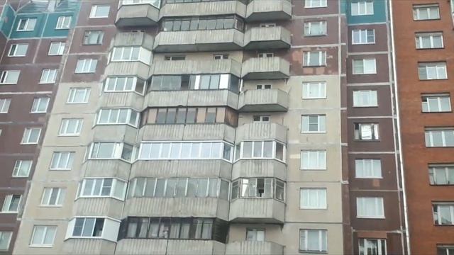 Питер Беговая Савушкина смотреть онлайн