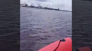 Лодочный мотор Yamaha-8 2-так и Лодка Ревьера 3,60