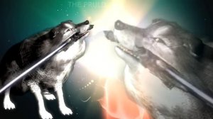 Хвалите до тех пор, пока вы не станете пустым местом.  Dark Souls