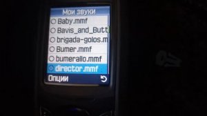 Samsung SGH-E800 Закаченные файлы/Download files