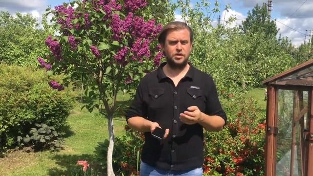 Органическое выращивание птицы в России. Как ветеринары разрушили нашу бизнес идею на селе.