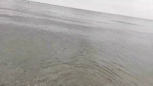 7 июля лазурное, стало меньше комаров - Лазурное, Отдых на море, Херсонская область, Море