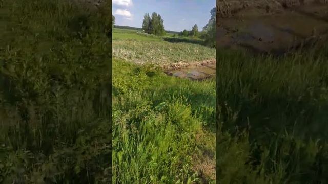 очистка от ила. пруд отстойник. очистные сооружения.
