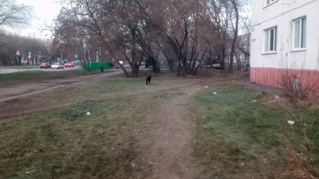 Команда место и награда. ОКД.