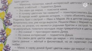 Почему цветок назвали Иван да Марья?