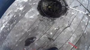 Снова ловим окуня на креветку и на малька!