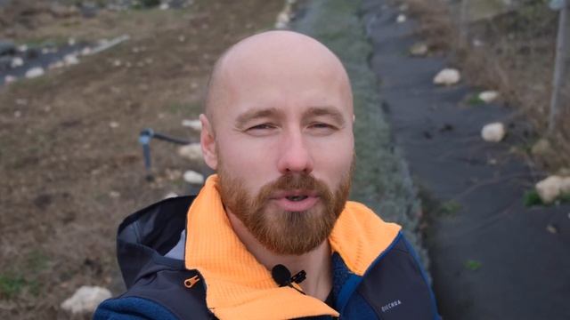 Выращивание органической лаванды в питомнике Лавандовый Замок