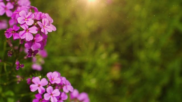 БЕЗ МАМЫ - песня, над которой всем детям очень нужно задуматься... смотреть онлайн