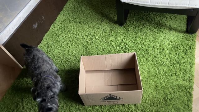 28/10/22 шейпинг (так и не разобрались) смотреть онлайн