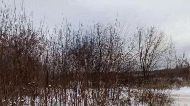 Ширяйково 28 ноября, сгоревшая двухэтажка и виды вокруг смотреть онлайн