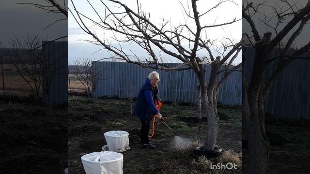 Осенняя обработка сада железным купоросом. смотреть онлайн