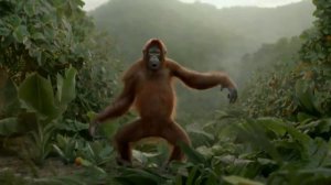 НОВИНКА!!!ХАХА.маймун ракси гирдак