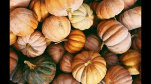 Польза тыквы / Витамины С,Е,К и все виды В