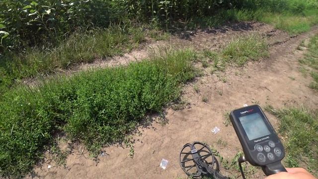 Тест на ЗОЛОТО с МД Nokta Makro Simplex Plus.