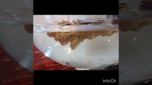 чистка денежного канала