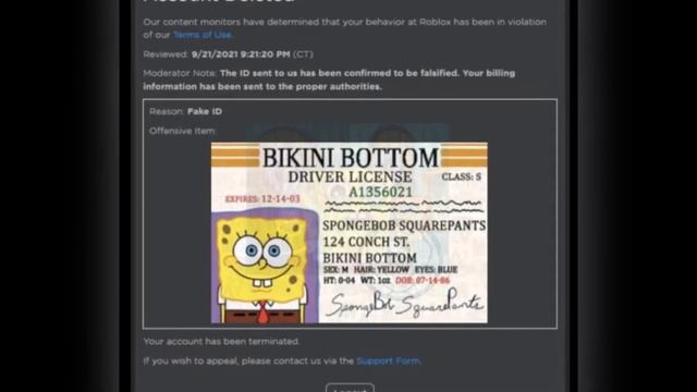 when roblox voice chat ban... смотреть онлайн