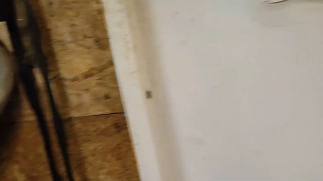 вес наших козочек в два месяца, как растут козочки от первокоток, ЛПХ Борская деревенька 52 смотреть онлайн