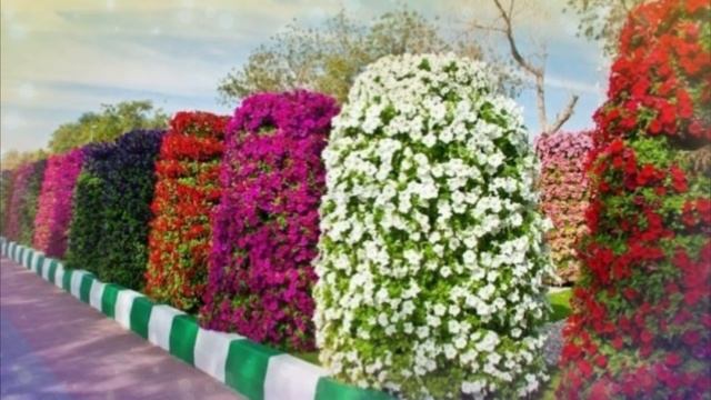 Тушда гул курса НАХОТКИ шундай булади Туш табири смотреть онлайн