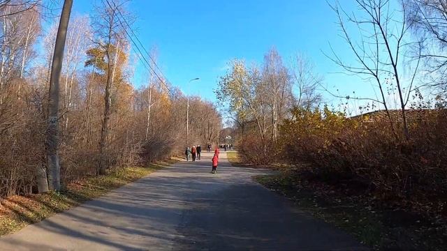 VLOG 107/ Парк Кузьминки /Эвакуатор забрал машину /Много хаски и не только /карьер Лыткарино смотреть онлайн