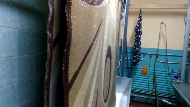 Полный цикл стирки ковра на профессиональном оборудовании УСК Коврон