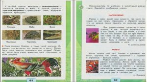 Какие бывают животные. Окружающий мир. 2 класс, 1 часть. Учебник А. Плешаков стр. 60-63