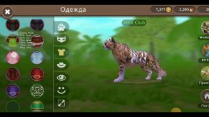 как сделать баг на 10,000 кристаллов? || ответ тут! ||