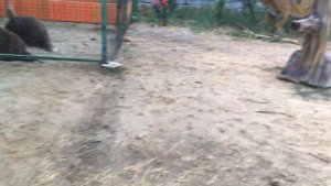 Развлечения для детей в станице Голубицкая !!
