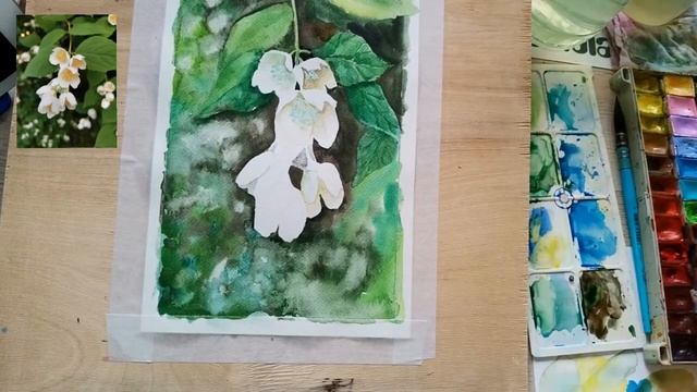 Ветка жасмина-2 часть. Рисунок акварелью. смотреть онлайн