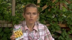 1 Посадочный материал клубники  ВСЕ О ВЫРАЩИВАНИИ КЛУБНИКИ  Часть 1