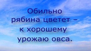 6 ПРИМЕТ НА 2 ИЮНЯ// ЧТО НЕЛЬЗЯ ДЕЛАТЬ В ЭТОТ ДЕНЬ//