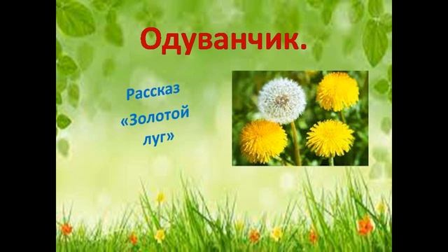 игра путешествие по творчеству М. М. Пришвина "По страницам любимых книг" смотреть онлайн
