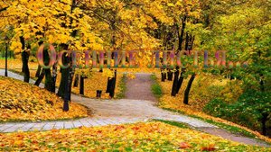 Осенние листья* Autumn leaves