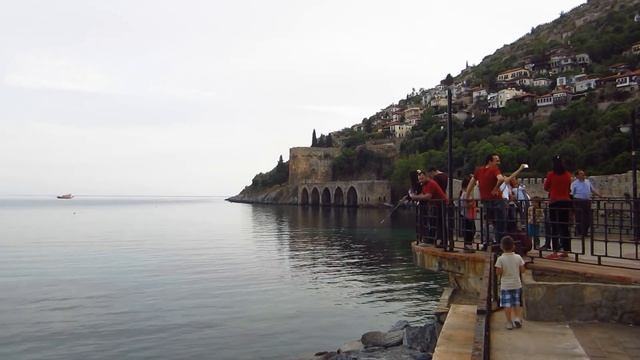 МАГИЧЕСКАЯ ПРИТЯГАТЕЛЬНОСТЬ АЛАНЬИ!!! Вечер, Апрель// Наталья Шенер. смотреть онлайн