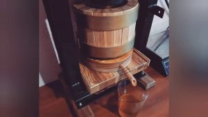подсолнух. семена подсолнуха. семечки. подсолнечное масло
