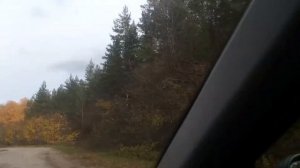 едем из Хвалынска или видеоотчет 2