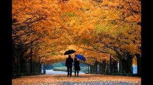 Маршал - Хочешь любимая, на гитаре