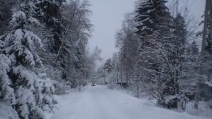 В тихом сиянии
