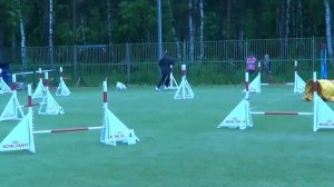 Тимина Любовь  на Чемпионате Санкт-Петербурга по аджилити 31.05.15