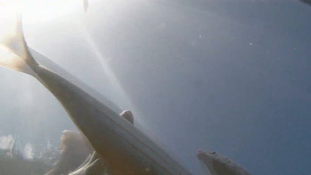 Черногория, сентябрь смотреть онлайн