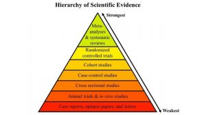 ТОМАС МАЙЕРС: АНАТОМИЧЕСКИЙ ИЛЛЮЗИОН